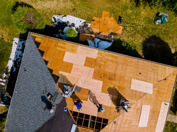 Best Metal Roofing Contractor  in Syracuse, KS